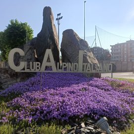realizzazione_aiuole_monza_brianza_lecco